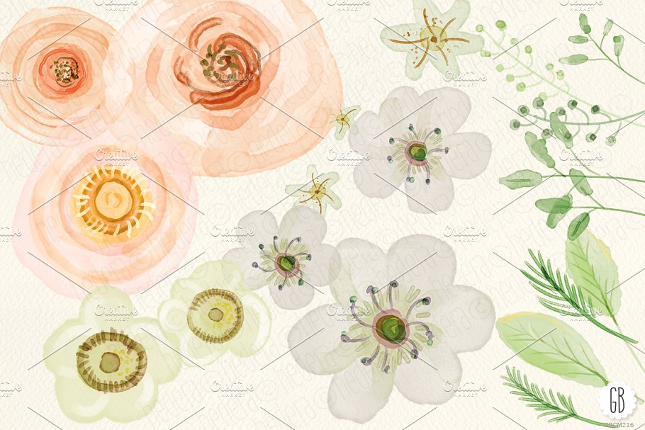 蔷薇,毛茛等水彩元素 watercolor flowers rose ranunculus 设计
