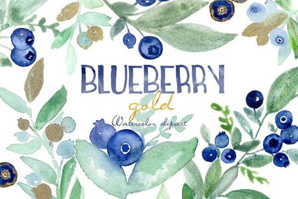 优雅水彩蓝莓插画剪贴画 blueberry gold. watercolors