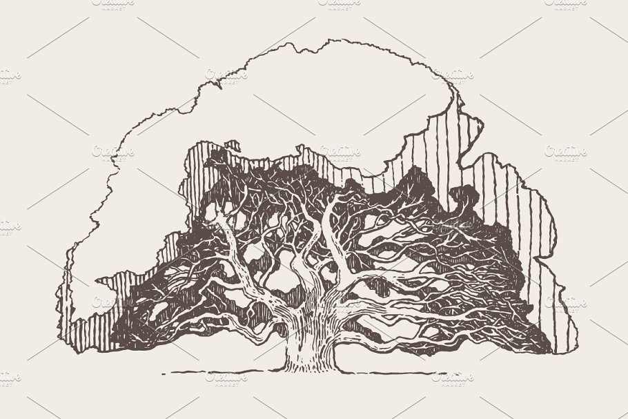 老橡树素描矢量插画illustrationofanoldoaktree