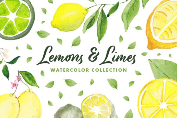 柠檬&酸橙手绘水彩插画系列 lemons & limes watercolor collection