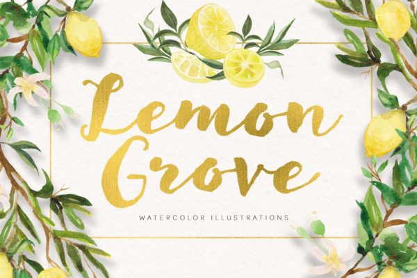 柠檬树水彩手绘矢量插画素材 lemon grove watercolor illustrations