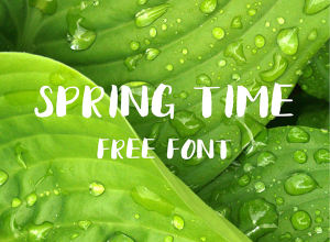 一款独具春天气息的笔刷型免费字体