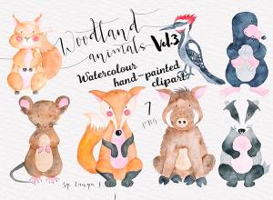 可爱的林地动物卡通手绘合集 Woodland Animals Set