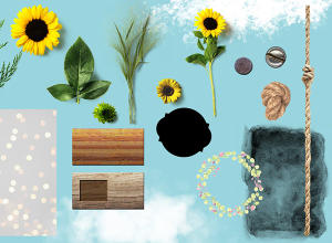 自然系高清素材包：画笔，花卉，户外矢量元素，纹理和背景