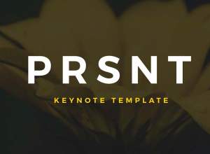 商务演示&企业会议演示文稿模板 PRSNT Keynote&PPT Template