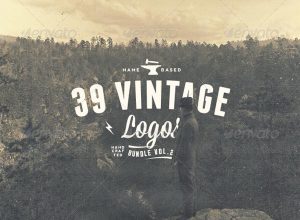 简约复古文字Logo标志模板 39 Name Based Vintage Logos Bundle Volume 2