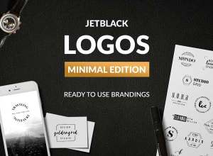 30枚预制图形 Logo 模板素材30 Premade Logos – Minimal Edition