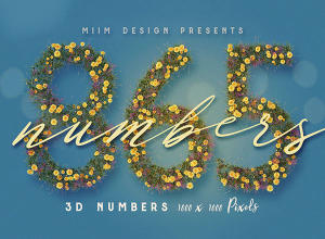 特色夏日花朵拼合的3D数字 Free Summer Flower Numbers