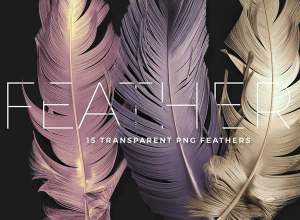 透明背景各式各样羽毛素材包 Transparent PNG Feathers Pack