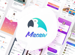 干净多彩时尚的Macaw UI Kit
