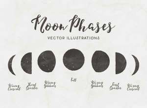 三种风格月相图矢量素材 Moon Phases – Free Vector Illustrations