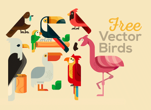 风格别致的雀鸟插画 Free Vector Bird Illustrations