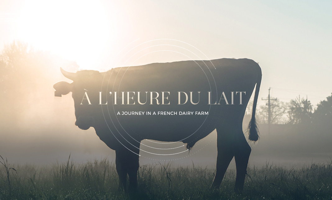 à L\'HEURE DU LAIT