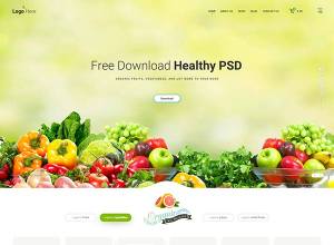 一个优雅的健康食品网站模板 Healthy Food Website Template