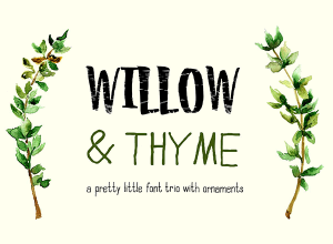 两款特色手绘外加LOGO修饰物的字体 Willow & Thyme with Logo Ornaments