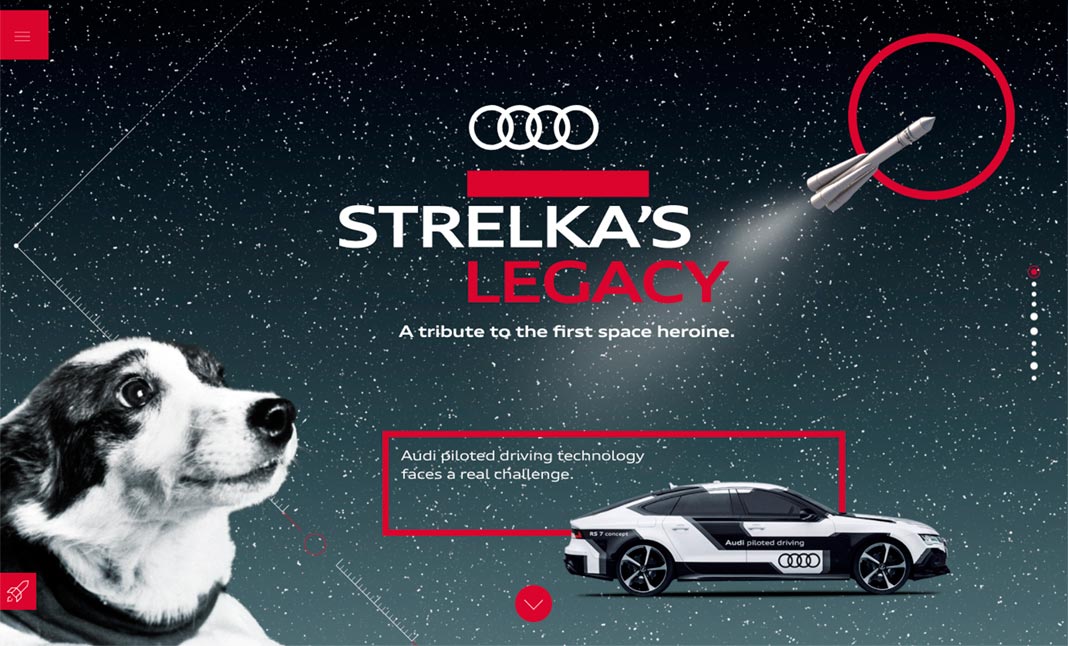 Strelka\'s Legacy