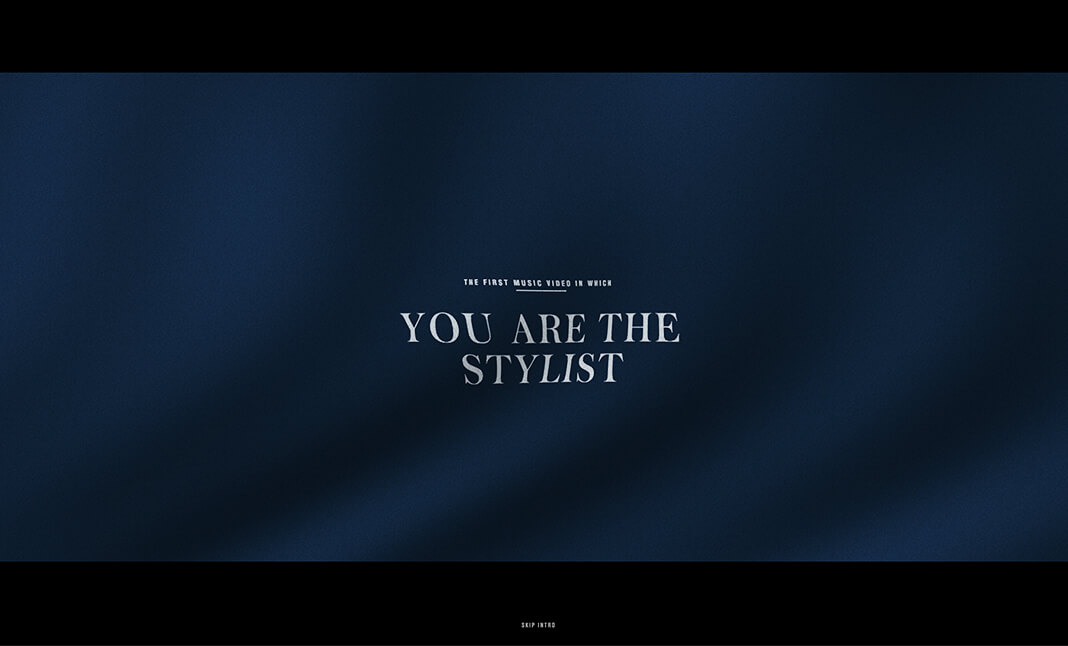 You are the Stylist