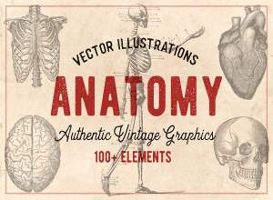 100个老式的解剖学载体矢量图形
