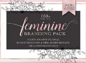 100个简约时尚的手绘女性标志和品牌包装