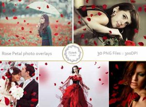 30个创意照片玫瑰花瓣叠加层素材下载[png]