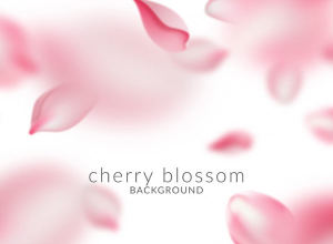 漂亮的粉色樱花背景图 Beautiful pink cherry blossom background