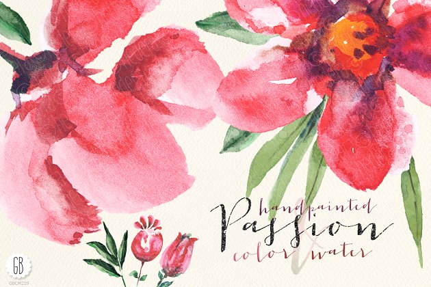 半透明红色花卉水彩剪贴画 Aquarelle watercolor red flowers