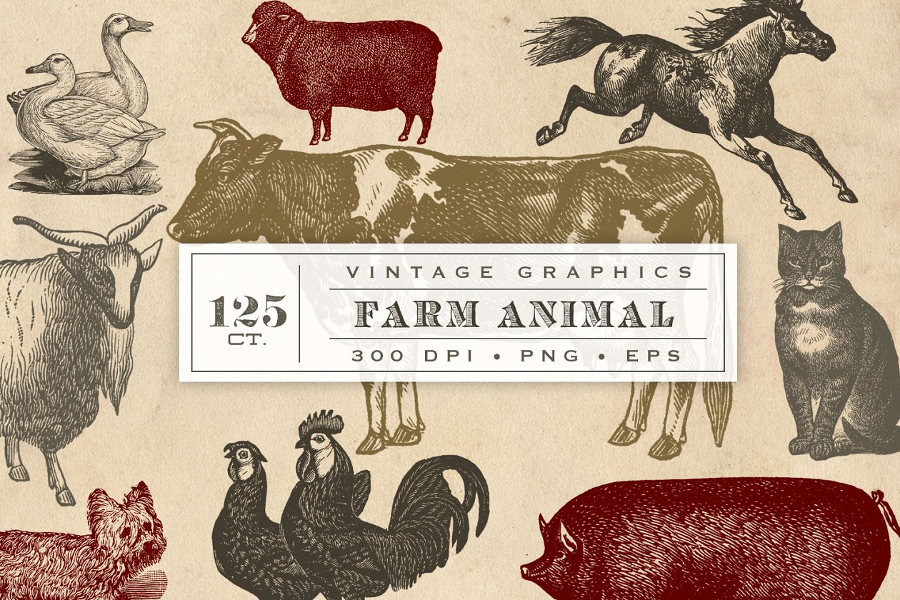 古老的农场家畜矢量图形 Vintage Farm Animal Vector Graphics