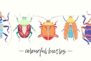 多彩多配色甲虫矢量水彩图案 Set of beautiful vector beetles