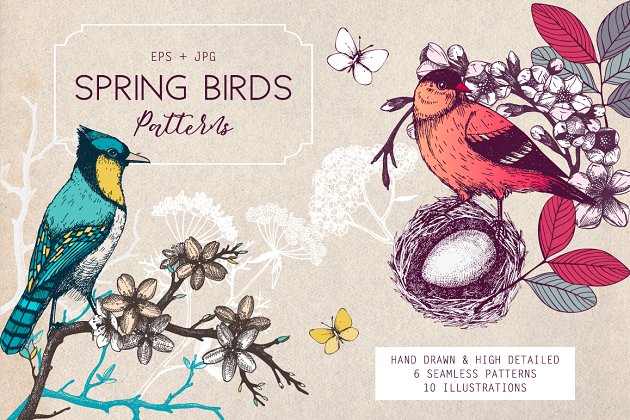 春季手绘小鸟自然元素 Hand Drawn Spring Birds Patterns