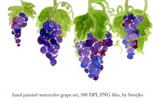 紫葡萄水彩剪贴画图案 Watercolor Grapes