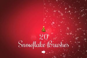 20个圣诞、冬季雪花笔刷  20 Snowflake brushes