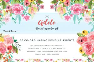 水彩花卉插画图集 Watercolor Flower Graphic Set- Adele