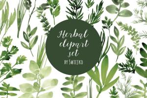 水彩草本植物插画素材 Watercolor Herbs set