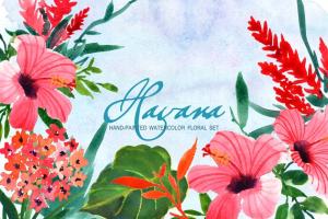 水彩花卉艺术剪贴画 Havana- Watercolor Clip Art