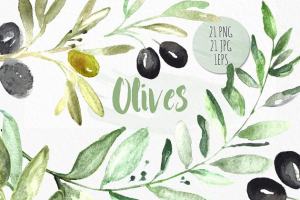 橄榄枝水彩剪贴画 Olives. Watercolor illustrations