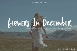 英文草书手写字体 Flowers In December Font Collection
