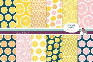 充满夏季气息的柑橘和柠檬图案纹理 Summer Citrus Digital Lemon Patterns