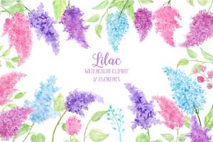 水彩丁香花剪贴画素材 Watercolor Lilac Flowers