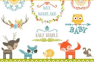 林地元素设计素材（动物，花卉，部落元素，箭头，羽毛，花圈） Wee Woodland Baby Graphics Patterns