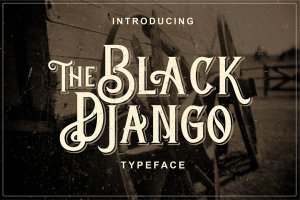 灵感来自古董标志/装饰形状的复古英文字体 Black Django