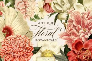 古典花卉植物贴图素材4 Antique Floral Botanical Graphics 4