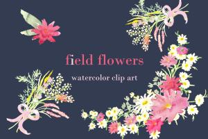 手绘水彩白色雏菊野花剪贴画 Field Flowers watercolor clip art