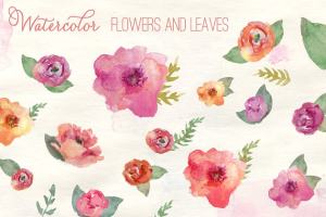 简约花卉和树叶水彩剪贴画 Watercolor Flowers