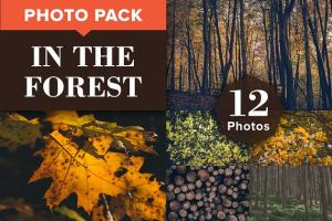 森林主题高清照片素材 IN THE FOREST (12 Premium Photos)