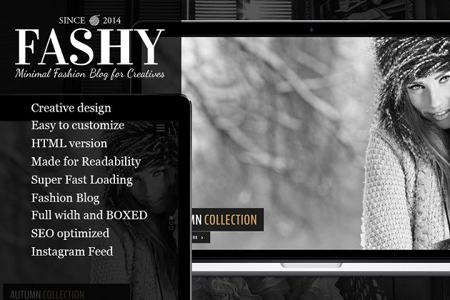 时尚简约博客设计WordPress主题模板 Fashy – Fashion Blog WordPress Theme