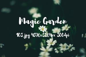 花园花卉 Magic garden pack