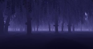 神秘诡异森林高清视频素材 Mystery Forest