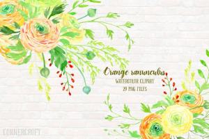 橙色水彩毛茛花卉剪贴画素材集 Watercolor Clipart Orange Ranunculus
