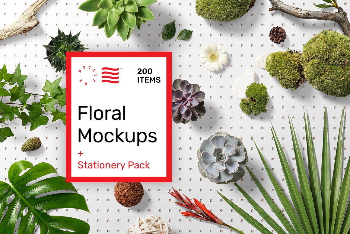 小咖下午茶：花卉绿植主题相关的设计样机素材包 Floral Mockups + Stationery Pack