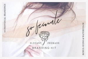 女性品牌VI视觉设计素材包[Logo模板/图标/水彩元素] So Female Branding Kit + Icons & Watercolours